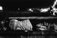 《家非家》系列No. 04的圖片